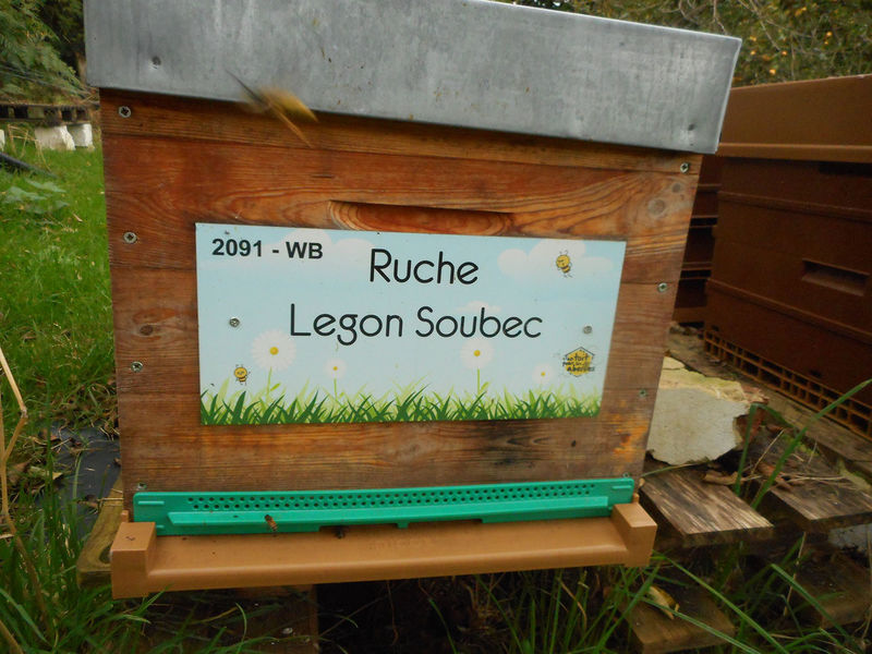 La ruche Legon Soubec